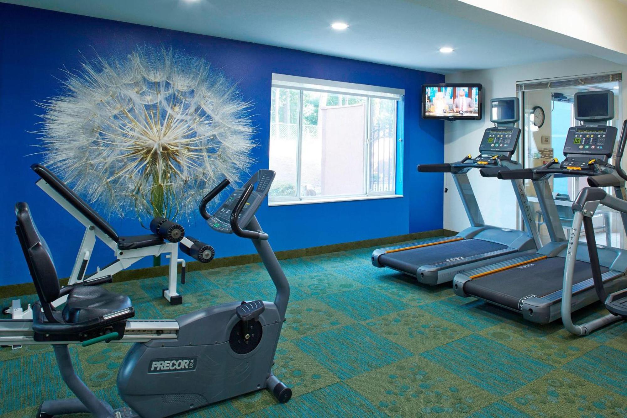 Springhill Suites By Marriott Atlanta Six Flags Лития-Спрингс Экстерьер фото