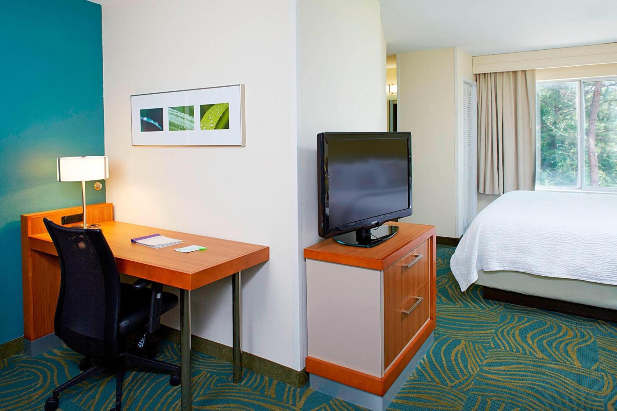 Springhill Suites By Marriott Atlanta Six Flags Лития-Спрингс Экстерьер фото