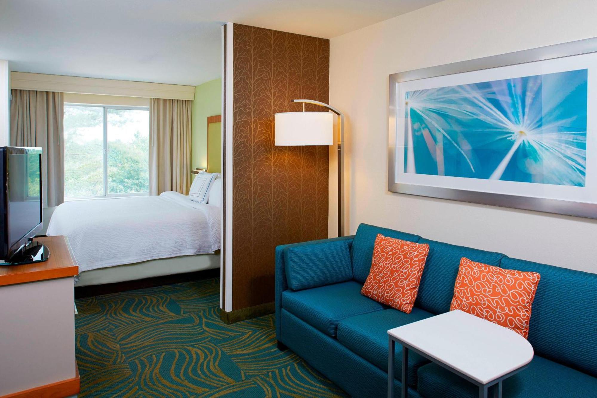 Springhill Suites By Marriott Atlanta Six Flags Лития-Спрингс Экстерьер фото