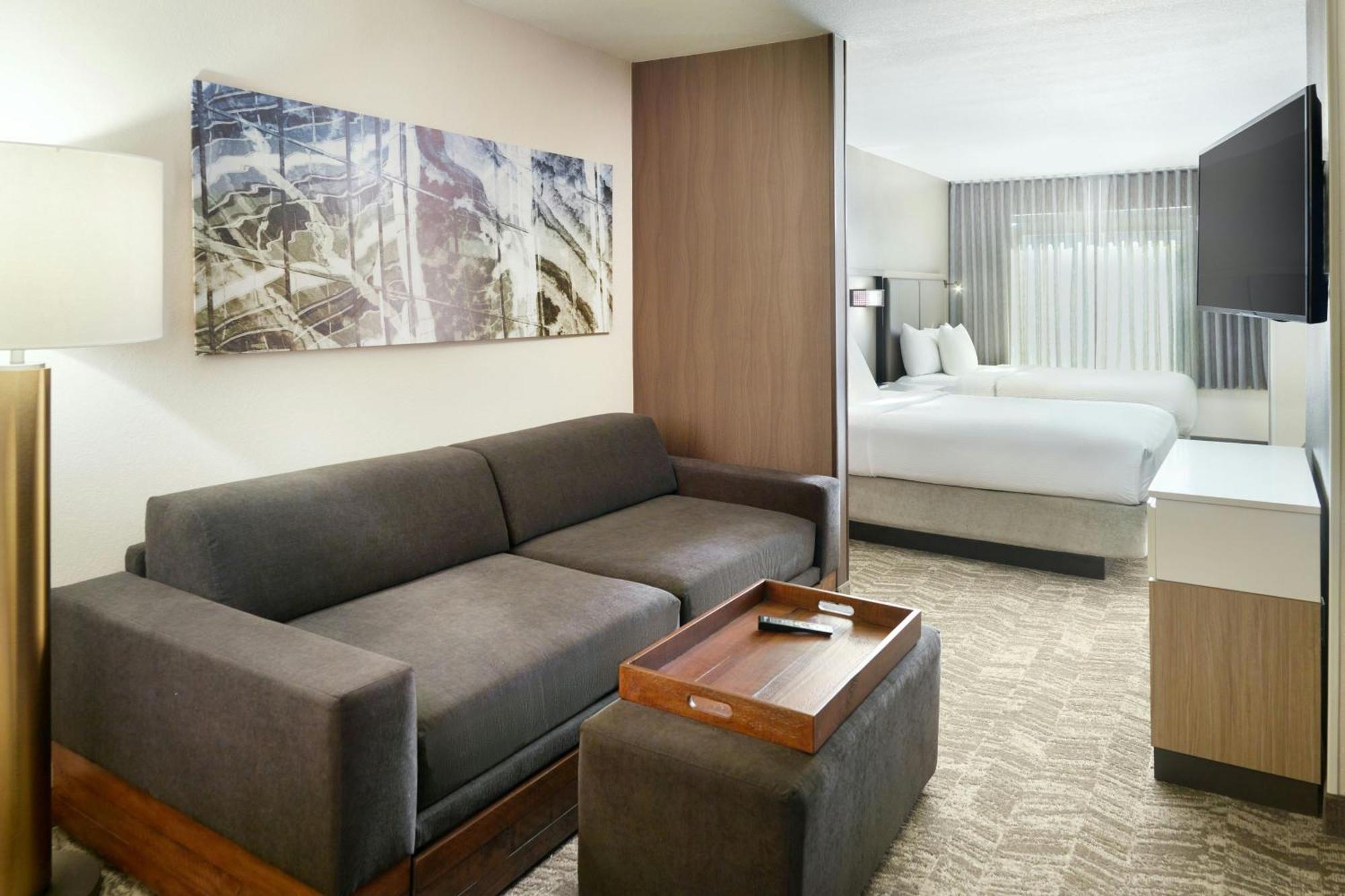 Springhill Suites By Marriott Atlanta Six Flags Лития-Спрингс Экстерьер фото