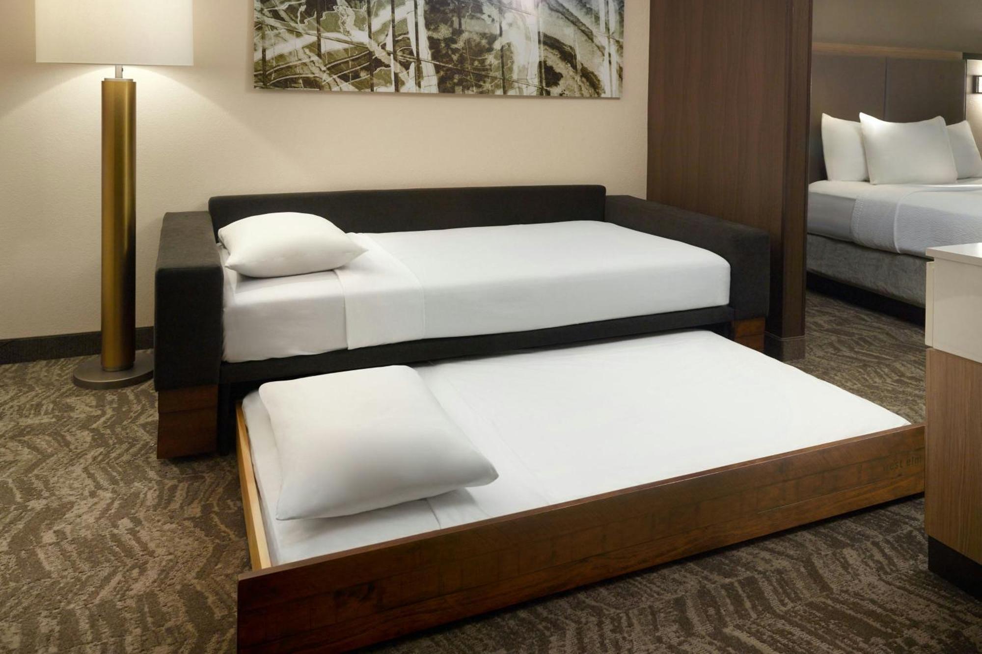 Springhill Suites By Marriott Atlanta Six Flags Лития-Спрингс Экстерьер фото